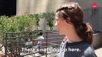 GIF There's nothing up here